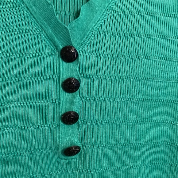 Scallop Too - Picture 4 of 4